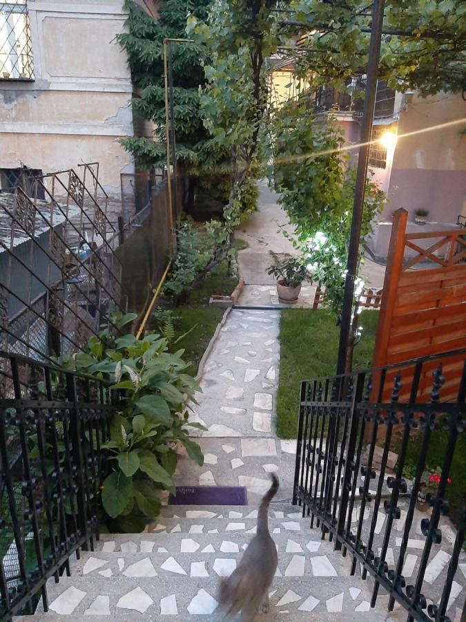 Piccola Italia Casa Racovita Kaloşvar Dış mekan fotoğraf