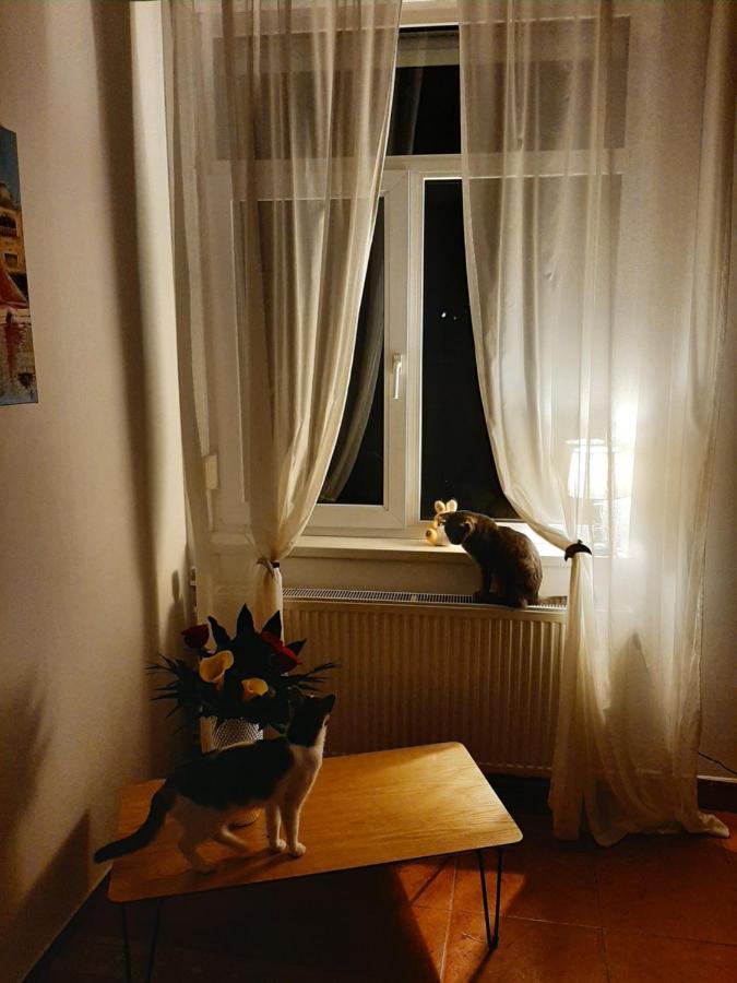 Piccola Italia Casa Racovita Kaloşvar Dış mekan fotoğraf